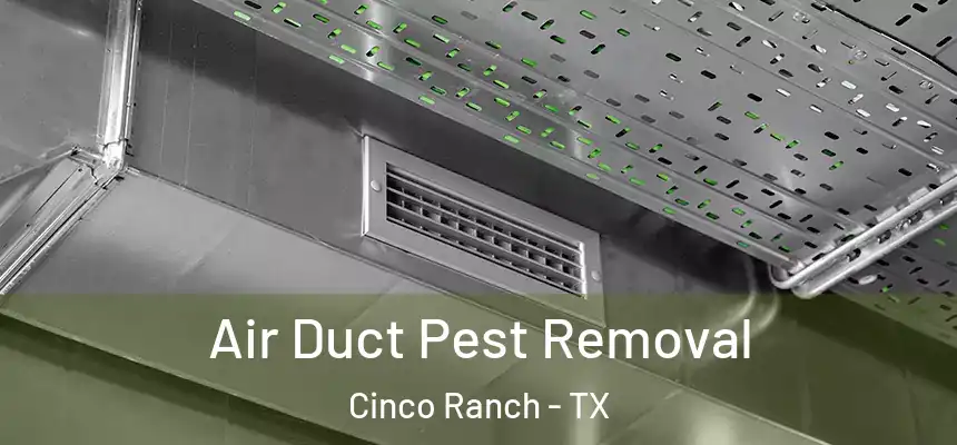  Air Duct Pest Removal Cinco Ranch - TX