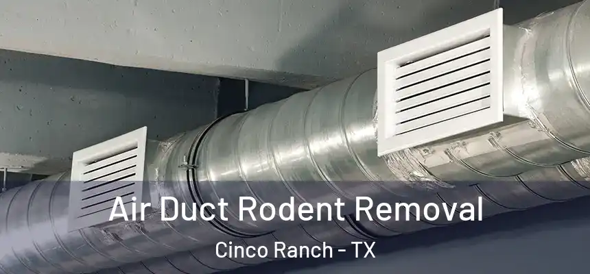  Air Duct Rodent Removal Cinco Ranch - TX