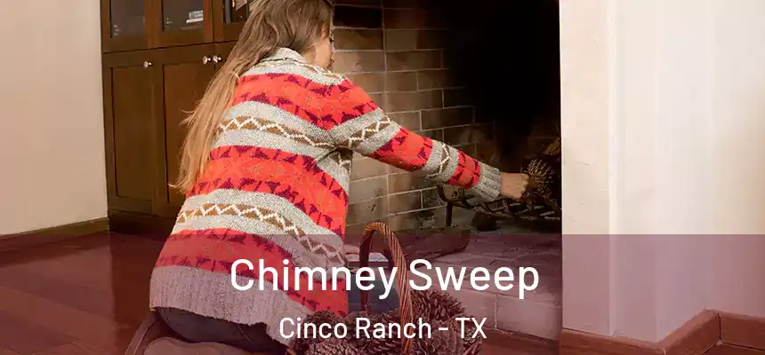  Chimney Sweep Cinco Ranch - TX
