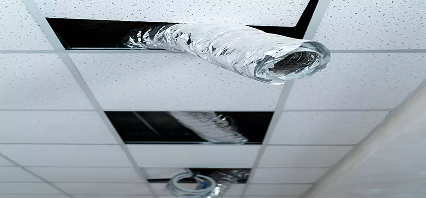 Affordable HVAC Sanitizing After Pest Removal in Cinco Ranch