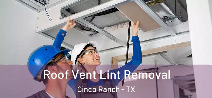  Roof Vent Lint Removal Cinco Ranch - TX
