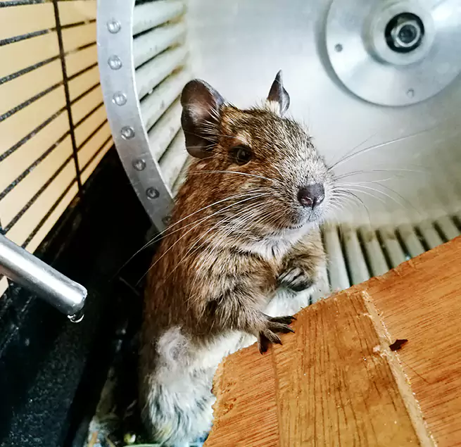 Why Homeowners & Businesses Trust Us Cinco Ranch, TX