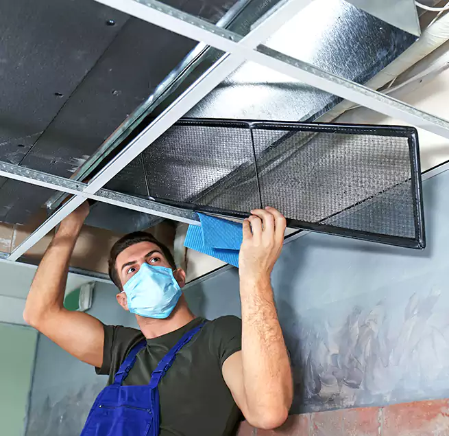 Why Homeowners Businesses Trust Us in Cinco Ranch, TX